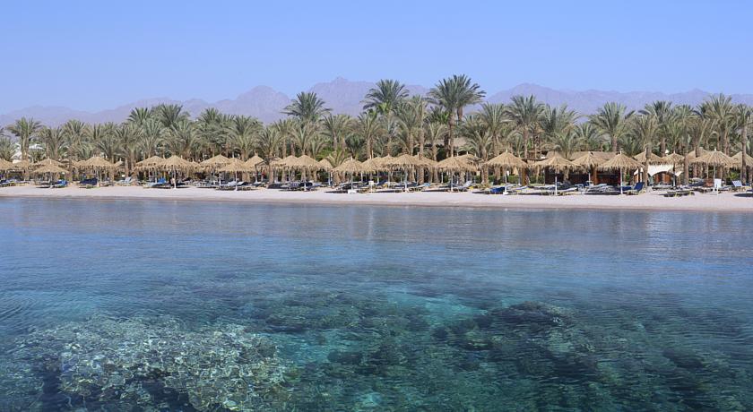 Hilton Sharm Dreams Resort 